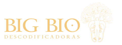 Big Bio Descodificadoras Sana tu Cuerpo y Alma